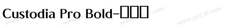 Custodia Pro Bold字体转换